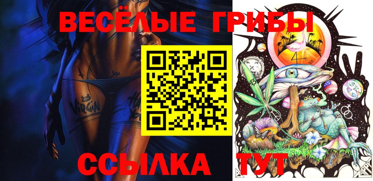 Псилоцибиновые грибы Cubensis  Вход с VPN  Муром 